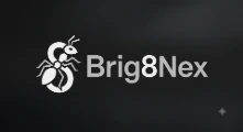 Brig8nex
